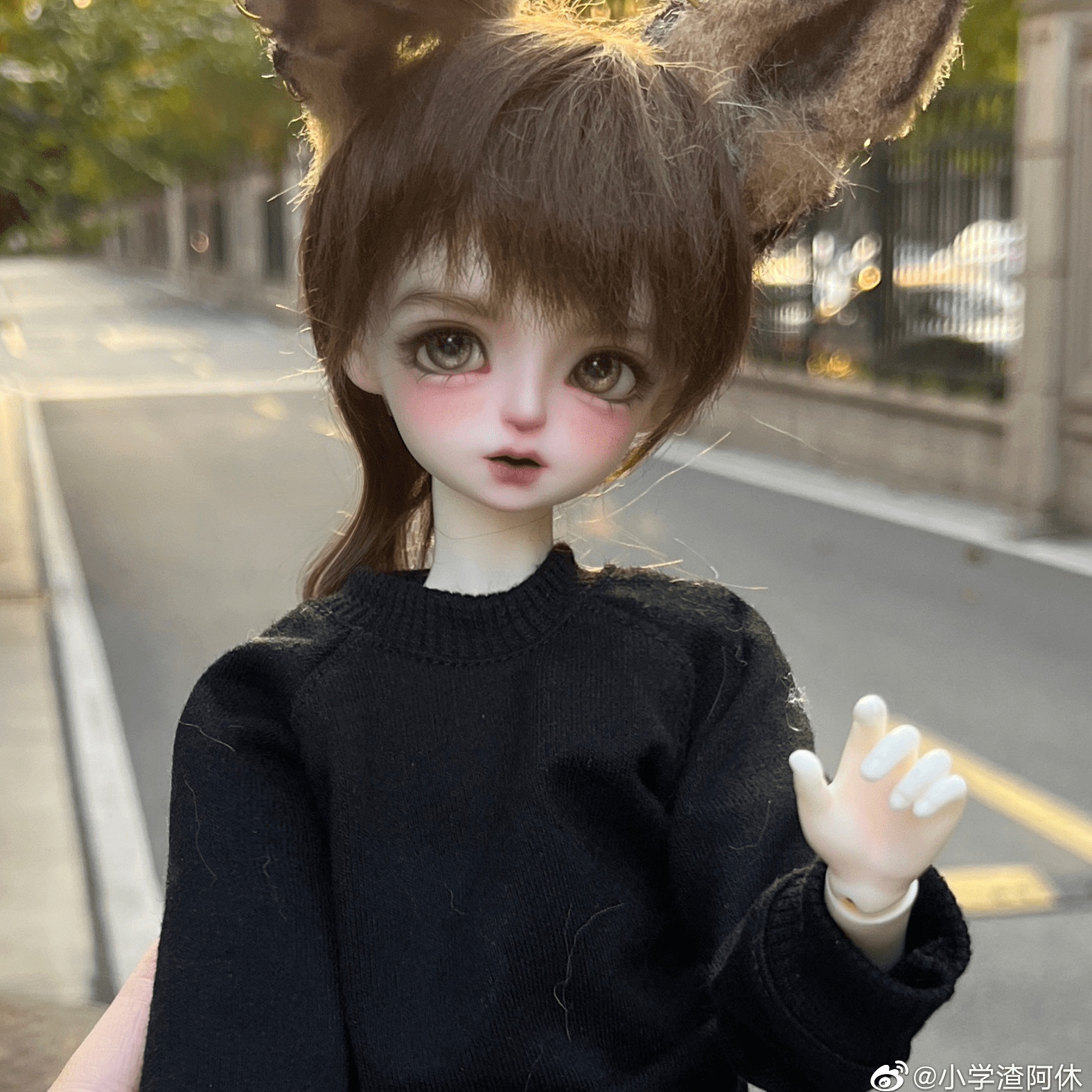 6分5分单头素头key男娃女娃