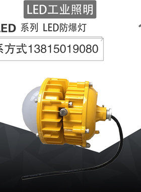 专业生产BPC8767防爆平台灯化工厂平台灯30W/50W护栏灯油库灯智能