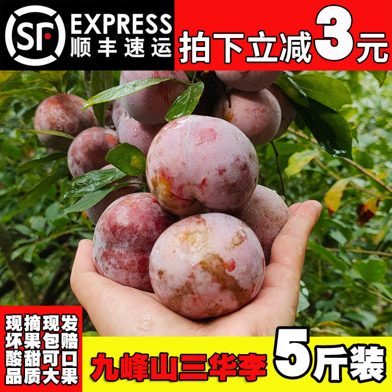 精选大果红心三华李新鲜孕妇水果