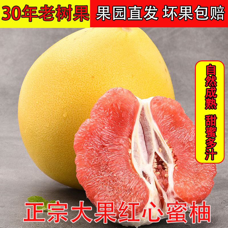 大果红心蜜柚新鲜现摘孕妇水果