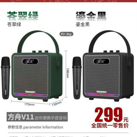 特美声式手提蓝牙户外K歌广场舞健身活动听音乐音箱户外