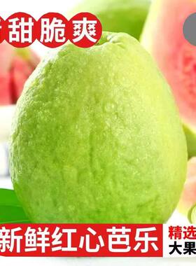 红心芭乐番石榴现摘精选大果
