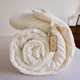 A类抗菌大豆被大豆纤维被春秋被冬被芯宿舍四季 通用可机洗单双人