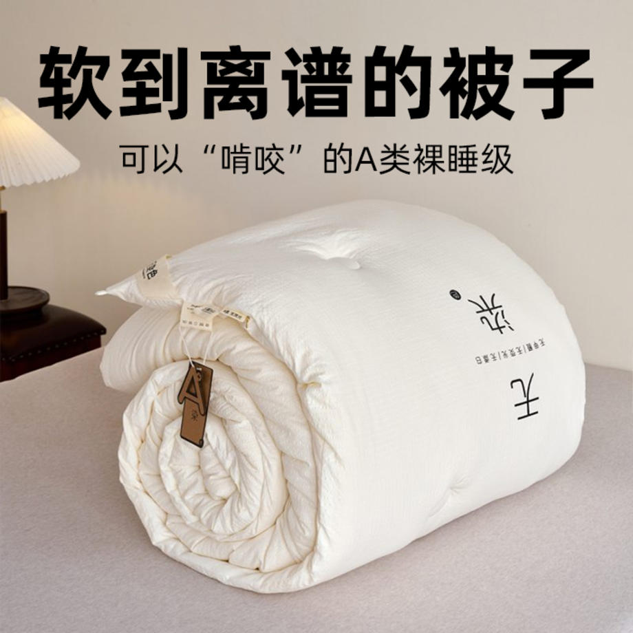A类抗菌大豆被大豆纤维被春秋被冬被芯宿舍四季通用可机洗单双人