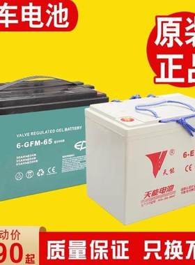 中力电动叉车电池12V小金刚配件电瓶蓄电池6-GFM30A65A85AH免维护
