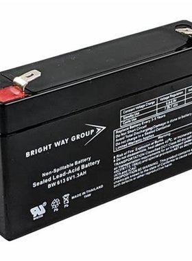 BRIGHT WAY GROUP蓄电池BW613 6V1.3AH免维护可充电蓄电池