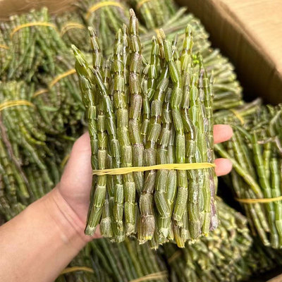 铁皮石斛鲜条胶汁多无渣