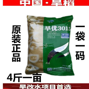 杂交水稻旱稻种子旱优3015比旱优73高产长粒香旱地山地优质稻谷种