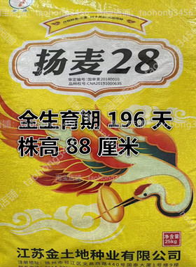 国审优质小麦种子扬麦28浙江苏上海安徽淮南信阳湖北中南部种植
