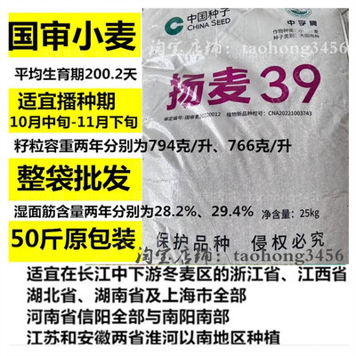 国审小麦种子扬麦39优质高产浙江苏上海湖北湖南河南江西南方品种