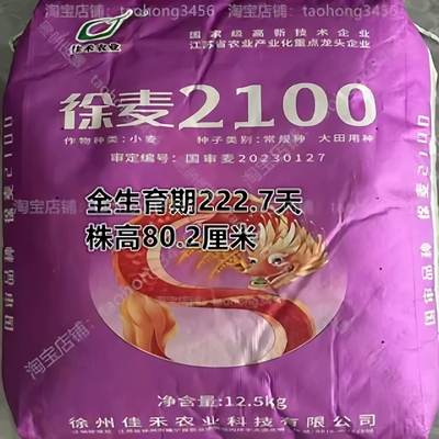 优质高产小麦种子耐寒耐旱矮秆