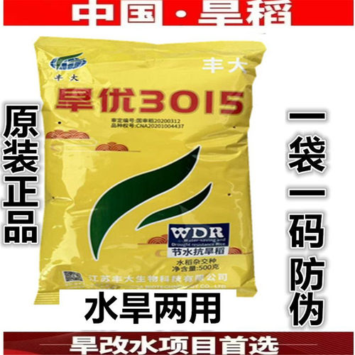 国审杂交旱优旱稻种子长粒香种子