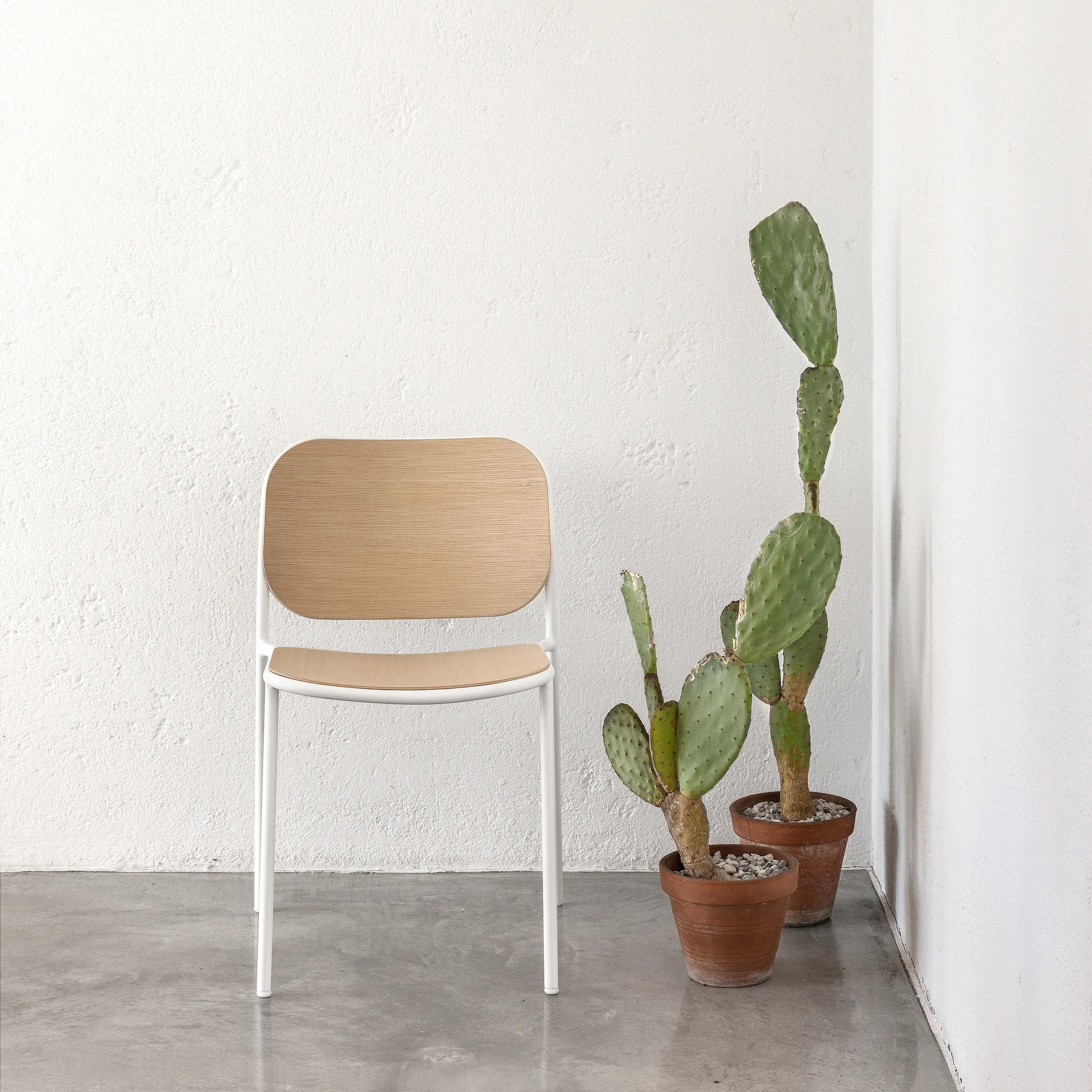 简约现代木质餐椅白色金属框架客厅餐厅椅子高级感百搭,住宅家具,餐椅,淘宝优惠券,粉丝福利购,淘宝优惠卷