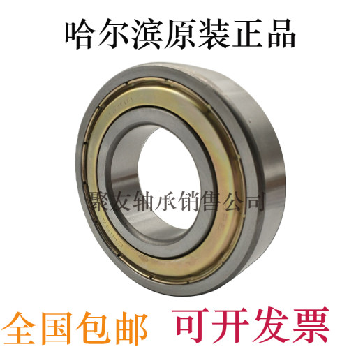 哈尔滨轴承6200 6201 6202 6203 6204 6205Z RZ 2Z ZZ 2RZ RS