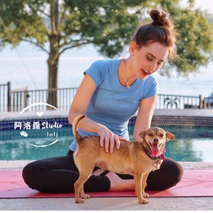 速干舞韵广场鬼步舞蹈瑜伽健身房晨练跑步速干高尔夫网球运动上衣