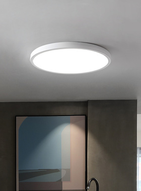 110V吸顶灯led灯家用现代简约简易圆形客厅卧室明装白光超薄