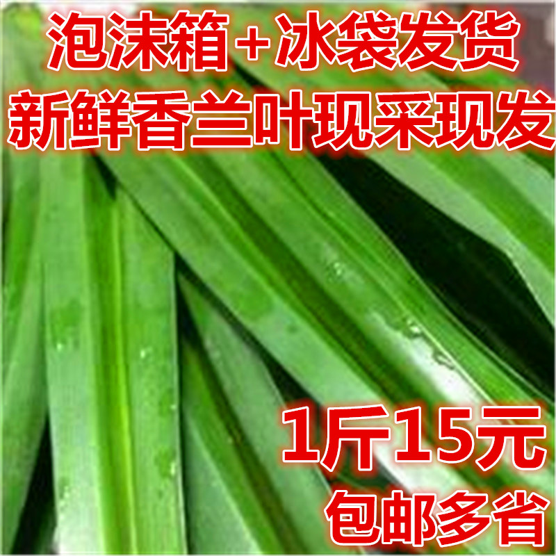 ¶àÊ¡1½ï15°üÓÊ ±ù´ü+ÅÝÄÏä²úµØÖ±·¢£¡ÐÂÏÊÏãÀ¼Ò¶ °àÀ¼Ò¶°ßìµÒ¶