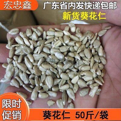 内蒙古精品葵花仁25KG 生瓜子葵花仁 烘培糕点果仁 油葵仁花葵