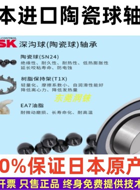 原装正品日本进口NSK高速陶瓷球轴承6203SN24T1XLZZC3E*01  ENSS6