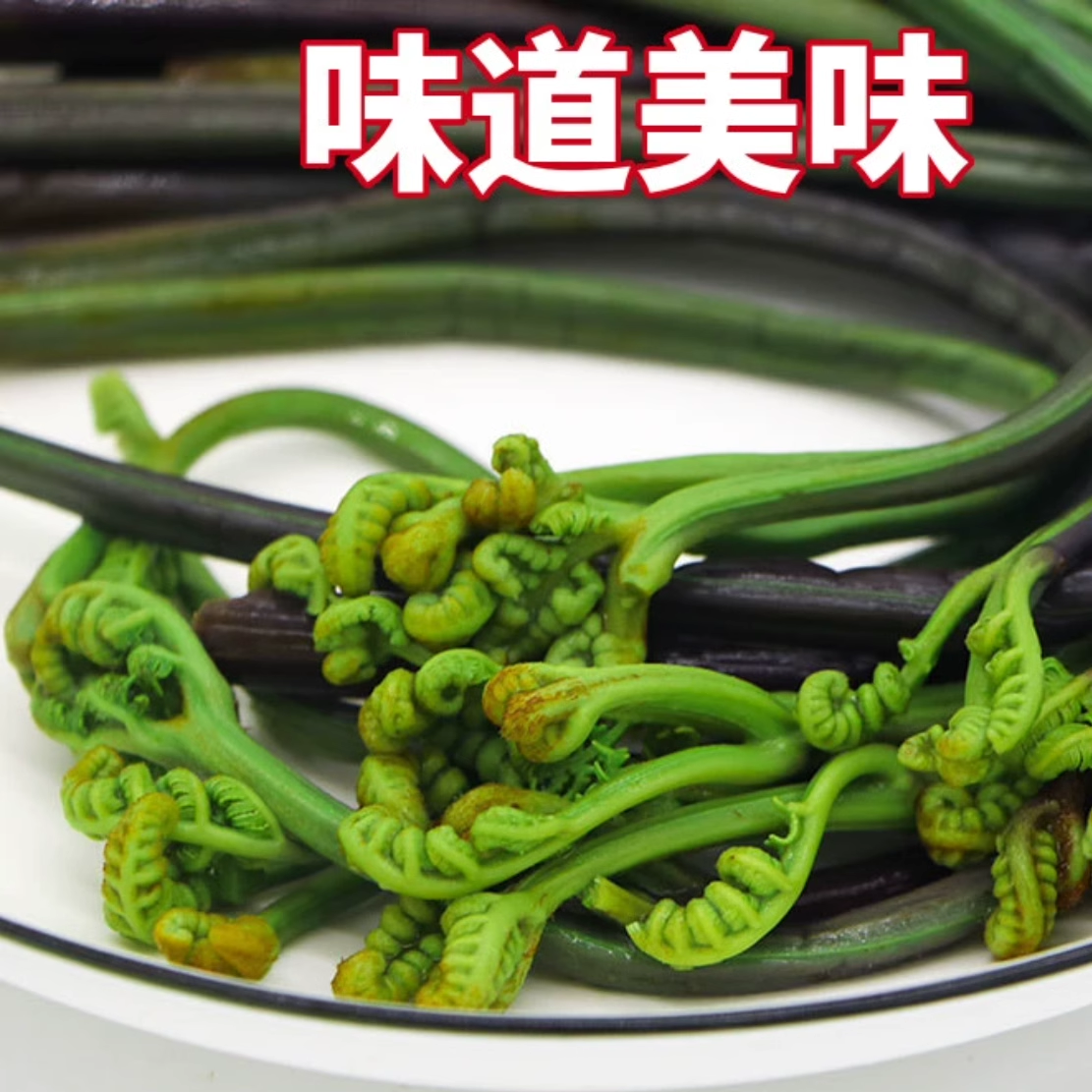 东北山菜蕨菜长白山特产食品袋装保鲜菜腌制菜750克