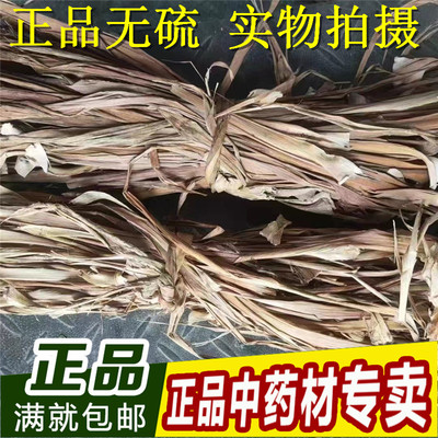 中药材龙血树叶马骡蔗树