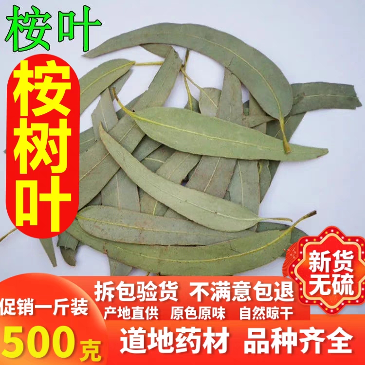 中药材无硫桉树叶桉叶大叶桉 蓝绿按树叶橡树叶500克包邮新货