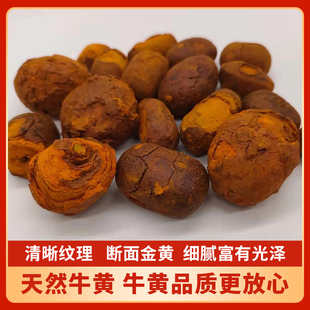 牛黄纯牛胆黄1克包邮中药材牛结石西黄丑宝牛黄非管黄新货