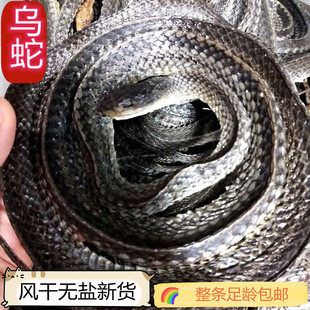 中药材乌稍蛇500克包邮整条大乌蛇白花蛇乌梢蛇粉五步蛇新货