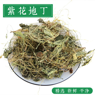 中药材紫花地丁地丁草子地丁叶柴花苦地丁地丁粉500克包邮新货