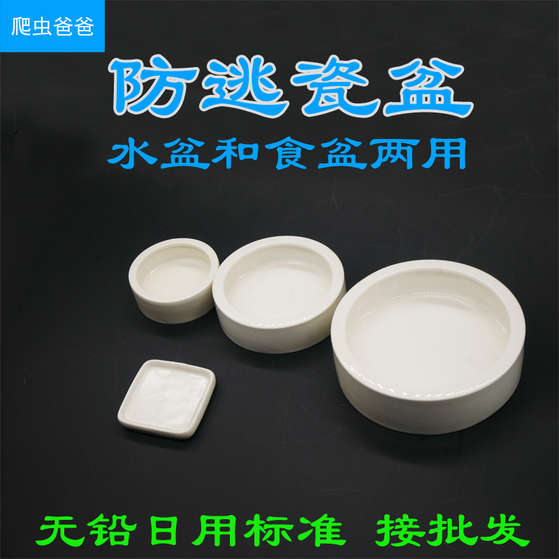 日用白瓷守宫防逃食盆爬宠水盆/白瓷睫角守宫果泥盆爬虫爸爸