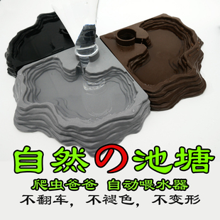 爬虫爸爸陆龟自动喂水器爬宠水盆陆龟蜥蜴异宠送400ML瓶子