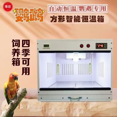 鹦鹉幼鸟智能风暖恒温双温控保温箱手养雏鸟玄凤专用鸟窝四季通用