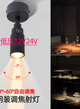 低压12V24V伏小角度聚光明装射灯7W10W变焦餐桌展厅博物馆氛围灯
