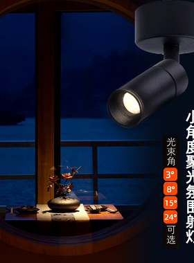 黑色小角度明装射灯聚光束3度8度15度24度展厅茶室1W3W氛围洗墙灯