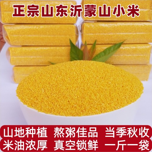 黄小米沂蒙山农家新小米