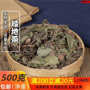 平地木 矮地 500g 老勿大 不出林 叶底珠 叶下红 矮地茶