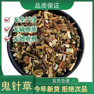 野生中药材三叶鬼针草