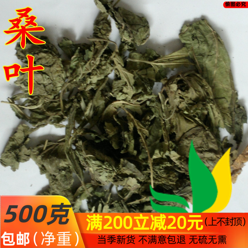 中药材 霜 桑叶 冬 桑叶500g/包邮