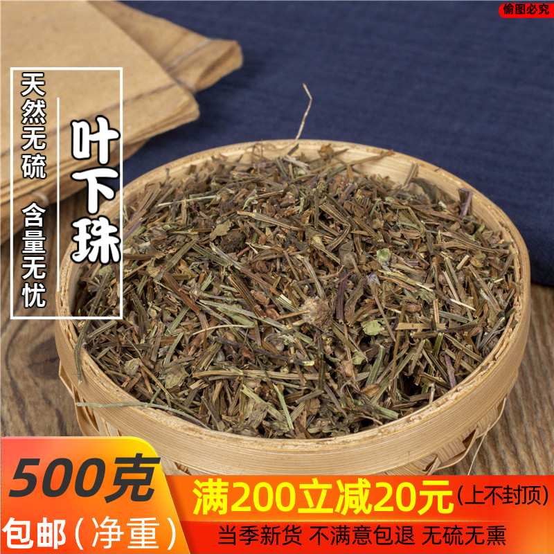 叶下珠珍珠草珠仔草500克