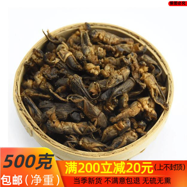 中药材 蝼蛄虫 蟋蟀 地狗子 水狗 土狗 500克