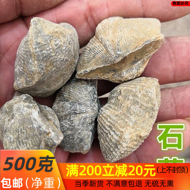 石燕500克 中药材石燕 燕石子 燕子石 水飞石包邮店有磁石 灶心土
