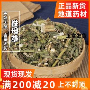 500g 免邮 益母草 中药材 费