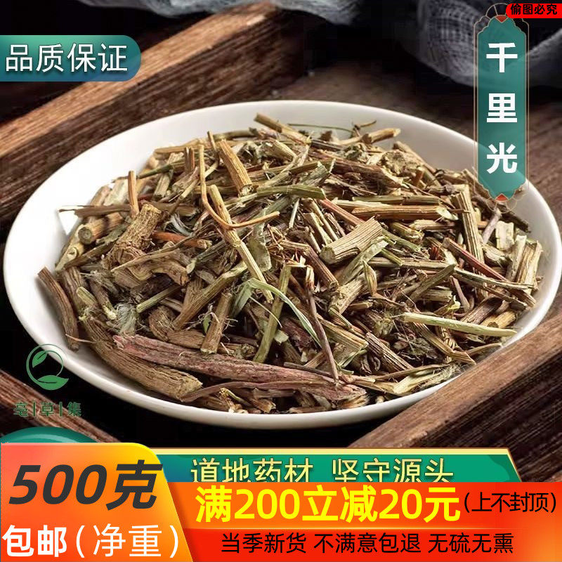 中药材 正宗千里光 九里明全草 九里光 中草药黄花草 新货500克