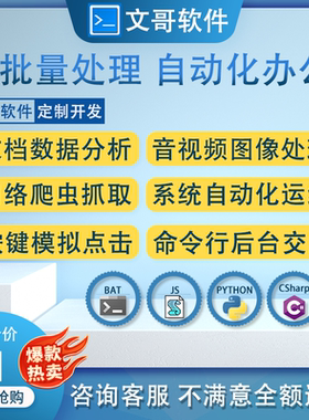 文哥软件定制开发批量自动化脚本