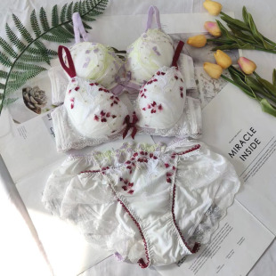 当季春夏新款刺绣花朵款日系内衣套装低鸡心女士上托薄款文胸内裤