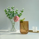 CASART北欧现代简约U型透明玻璃花瓶摆件客厅插花家用水养鲜花器