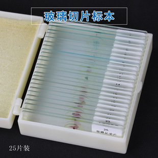 Datyson生物显微镜标本切片25片套装 2X0025A