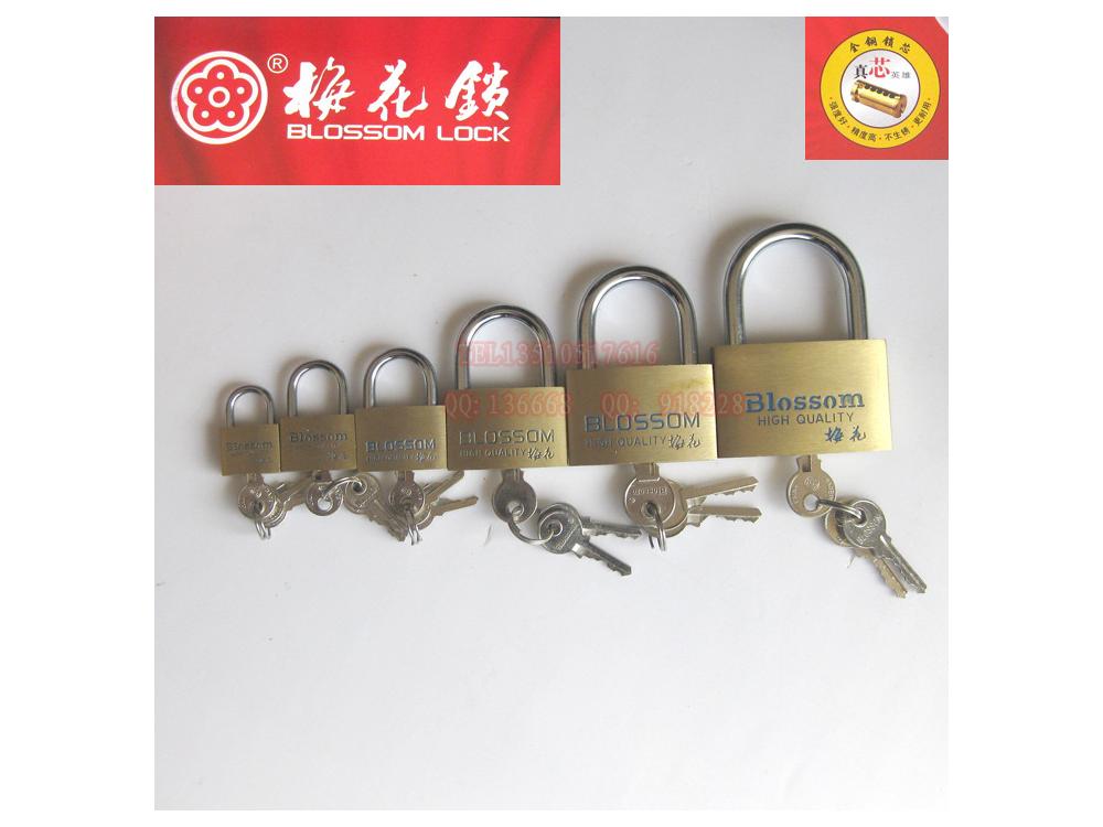 梅花牌铜挂锁20mm 机箱锁 工厂用锁 专业 价格优惠