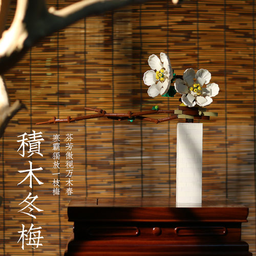 DK3011冬梅花束永生花模型小颗粒