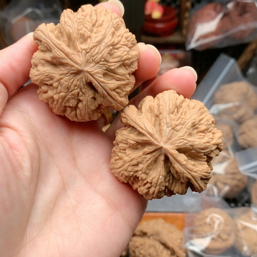 47全品粗筋